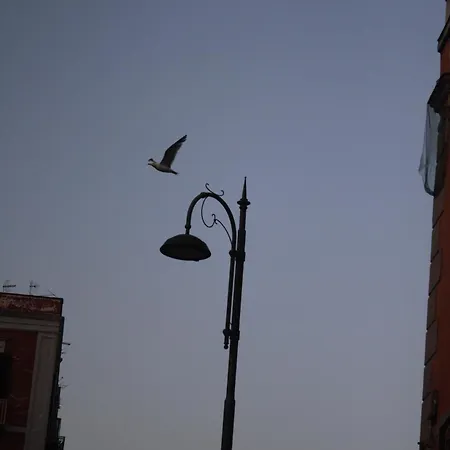 Daire A Casa Nostra *